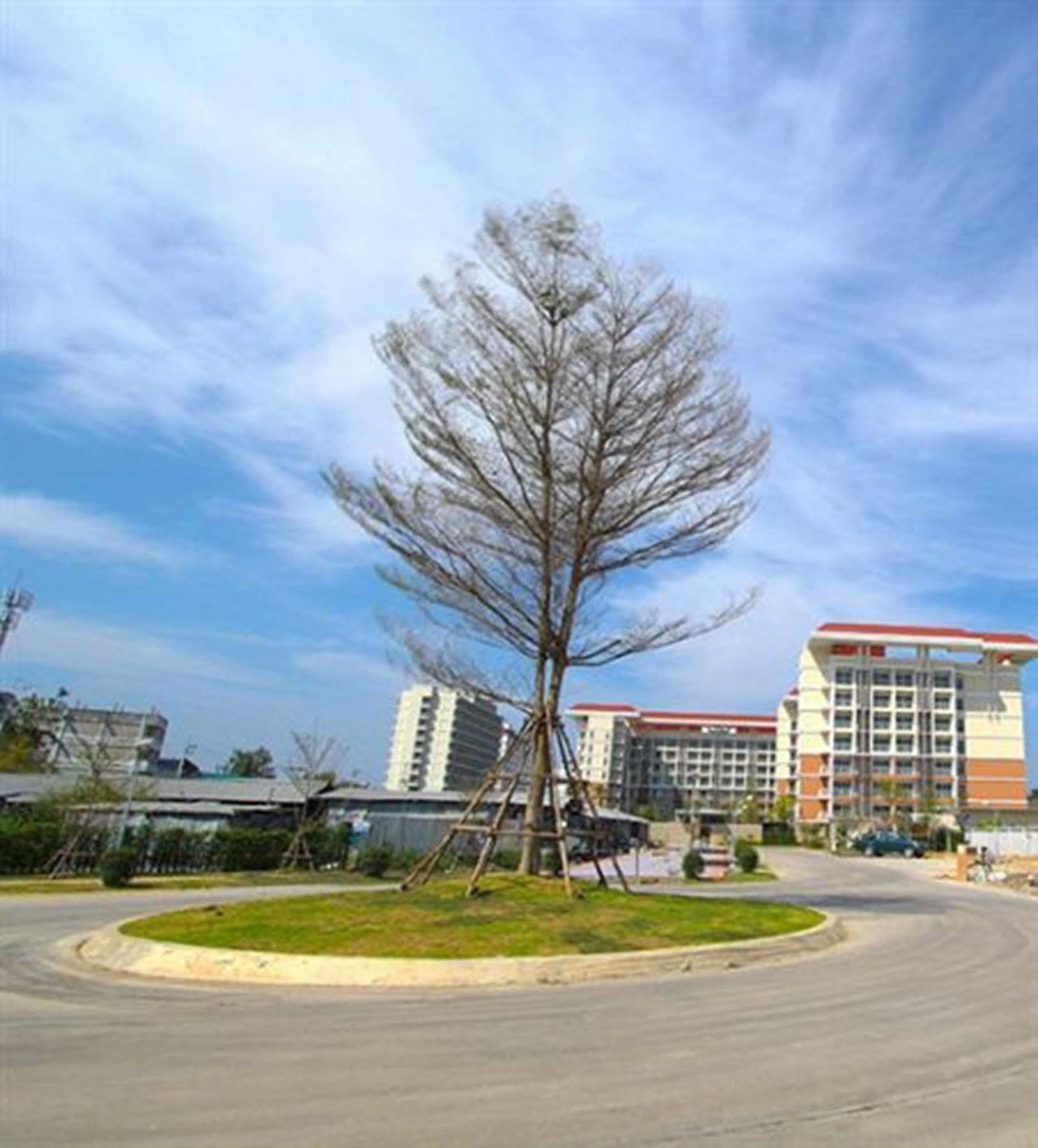 Grow Residences Bangkok Eksteriør bilde